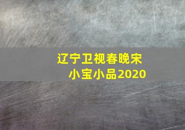 辽宁卫视春晚宋小宝小品2020