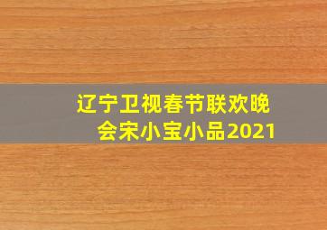 辽宁卫视春节联欢晚会宋小宝小品2021