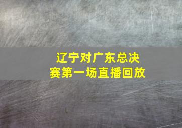 辽宁对广东总决赛第一场直播回放