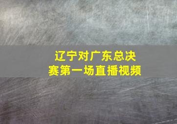 辽宁对广东总决赛第一场直播视频