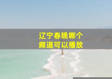 辽宁春晚哪个频道可以播放