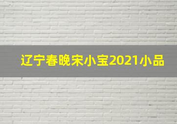 辽宁春晚宋小宝2021小品