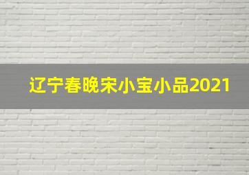 辽宁春晚宋小宝小品2021