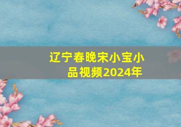 辽宁春晚宋小宝小品视频2024年