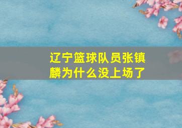 辽宁篮球队员张镇麟为什么没上场了