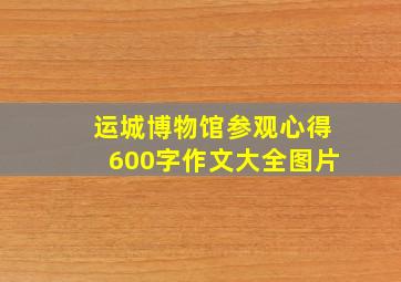 运城博物馆参观心得600字作文大全图片