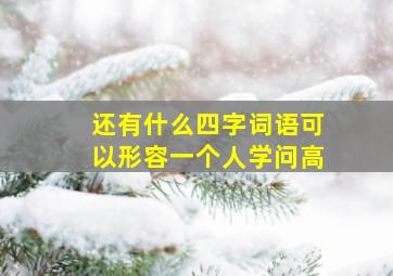 还有什么四字词语可以形容一个人学问高