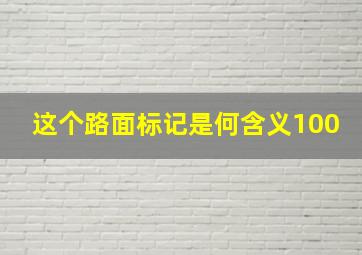 这个路面标记是何含义100