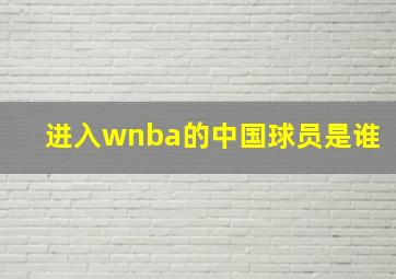 进入wnba的中国球员是谁