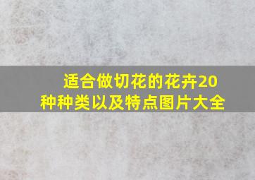 适合做切花的花卉20种种类以及特点图片大全