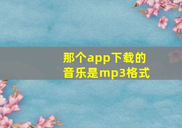 那个app下载的音乐是mp3格式