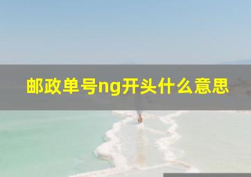 邮政单号ng开头什么意思