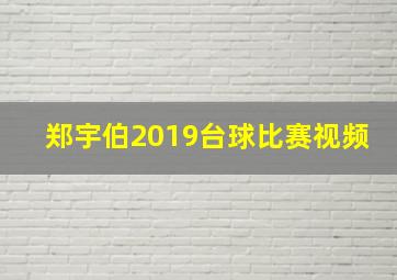 郑宇伯2019台球比赛视频