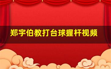 郑宇伯教打台球握杆视频