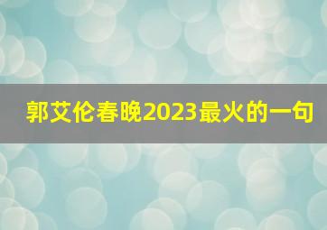 郭艾伦春晚2023最火的一句