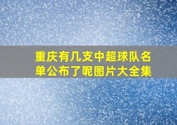 重庆有几支中超球队名单公布了呢图片大全集