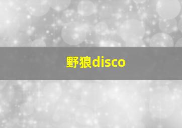 野狼disco