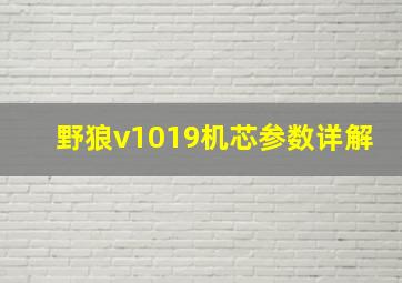 野狼v1019机芯参数详解