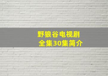 野狼谷电视剧全集30集简介