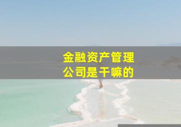 金融资产管理公司是干嘛的