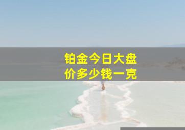 铂金今日大盘价多少钱一克