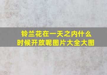 铃兰花在一天之内什么时候开放呢图片大全大图