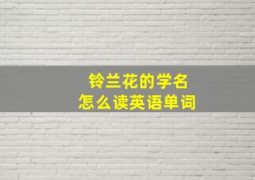 铃兰花的学名怎么读英语单词