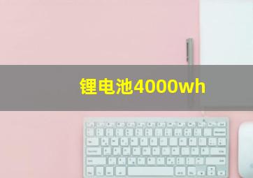 锂电池4000wh