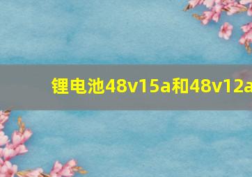 锂电池48v15a和48v12a