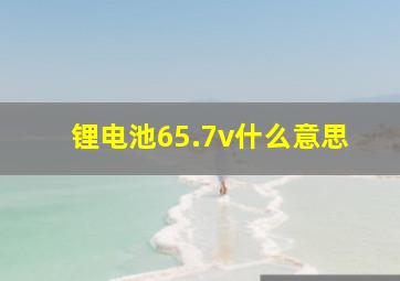 锂电池65.7v什么意思