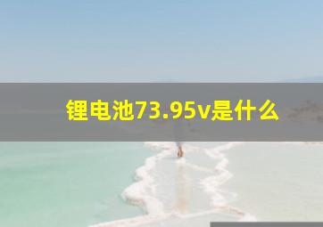 锂电池73.95v是什么