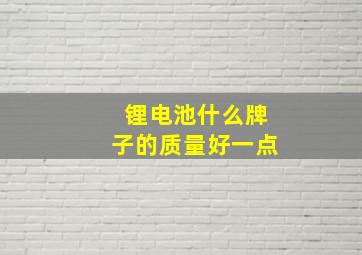 锂电池什么牌子的质量好一点