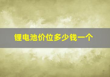 锂电池价位多少钱一个