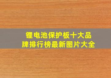 锂电池保护板十大品牌排行榜最新图片大全