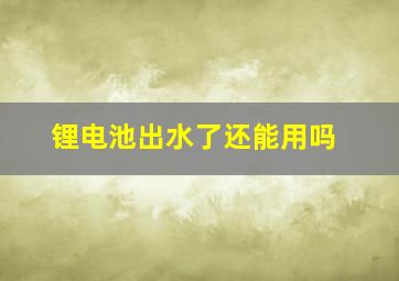 锂电池出水了还能用吗