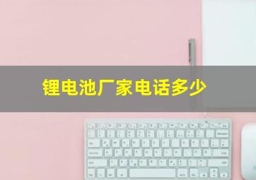 锂电池厂家电话多少