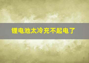 锂电池太冷充不起电了