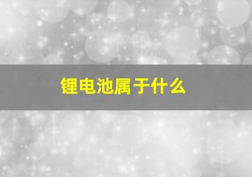 锂电池属于什么