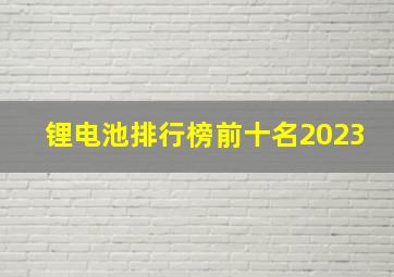 锂电池排行榜前十名2023