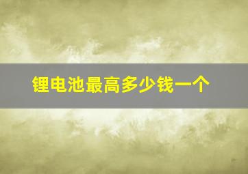 锂电池最高多少钱一个