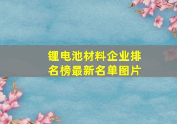 锂电池材料企业排名榜最新名单图片