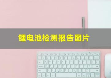 锂电池检测报告图片