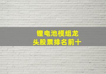 锂电池模组龙头股票排名前十