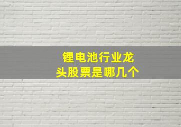 锂电池行业龙头股票是哪几个