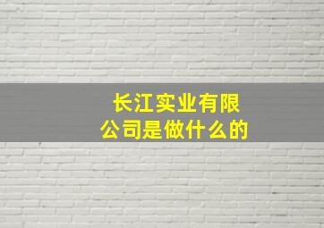 长江实业有限公司是做什么的