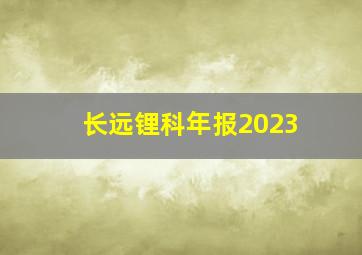 长远锂科年报2023