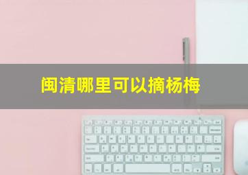 闽清哪里可以摘杨梅