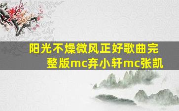 阳光不燥微风正好歌曲完整版mc弃小轩mc张凯