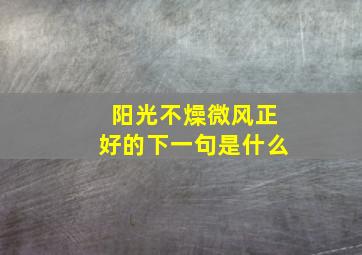 阳光不燥微风正好的下一句是什么