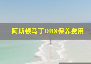 阿斯顿马丁DBX保养费用